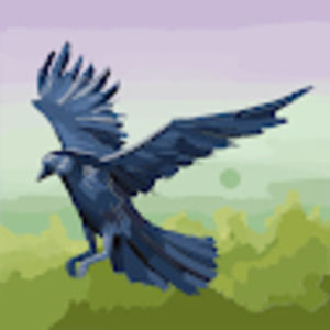 Meet your Posher, Afolashade